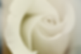 1009D979-B8AF-4676-82A2-DC75FA25F10D.png