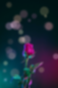 93B3E9BB-505E-4C20-AE9B-6F90F2CAB9CC.png